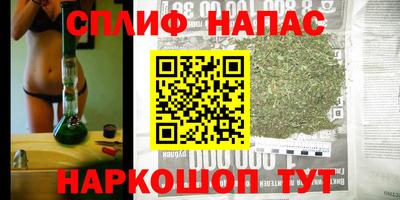 индика Апшеронск